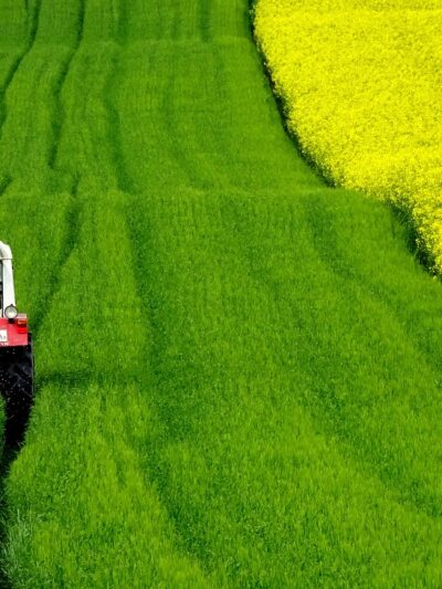 Fermes & Plantations Guinéenne