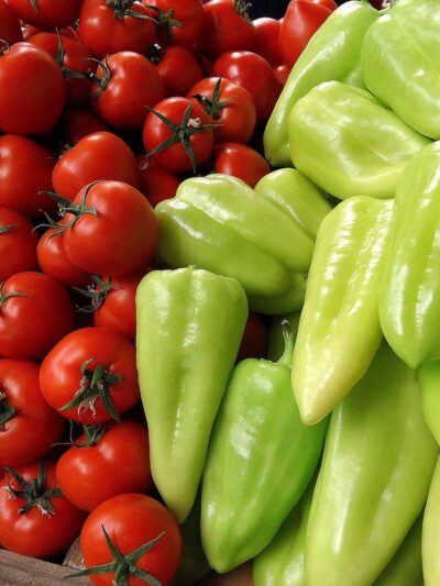 Production Végétale